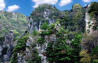 我市在全省全域旅游创建半年考核中排名第二