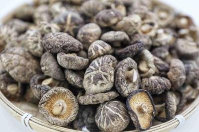 高质量发展看商洛|商南县:产业智能化 让小小食用菌长成富民强县支柱产业