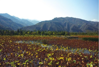 家门口的传奇-与商山四皓为邻