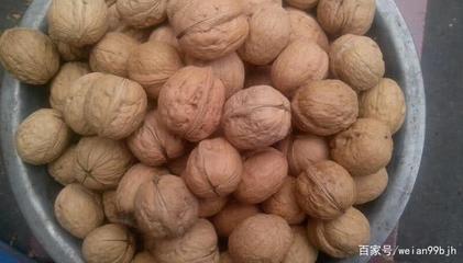 你知道吗--陕西省十大特产