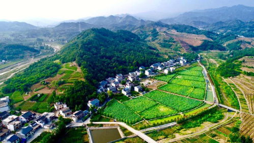 山花烂漫商洛行——春日赏花全攻略