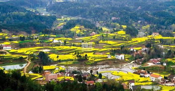 外地人眼中的商洛 vs 真实的商洛 不只是秦岭深处的秘境