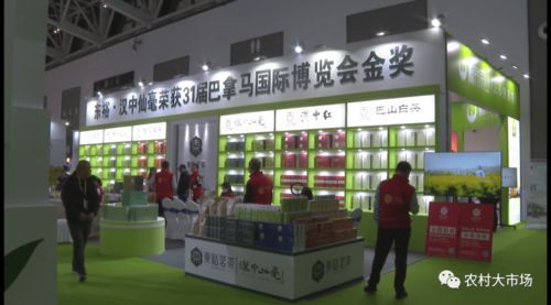 聚焦西部茶博会 商洛陕茶闪耀新魅力