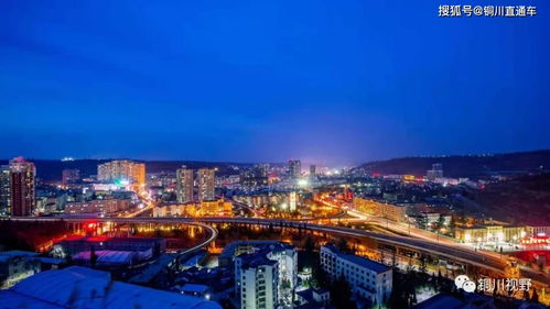 张宝光摄影师镜头下商洛腾飞的红腹锦鸡