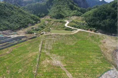商洛 绿满矿山满目春 金山银山日时新